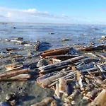 Σπίτι διακοπών Luxury Retreat With Pool - By Traum *